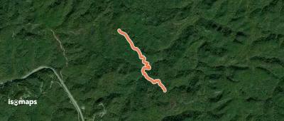 Buck Trail #226