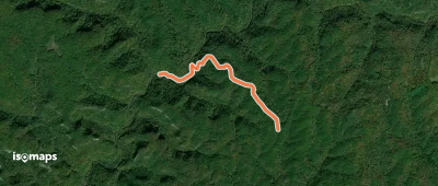 Lost Branch Trail #239