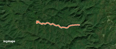 Wildcat Trail #228