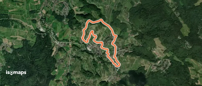 Heilklima-Wandern 1