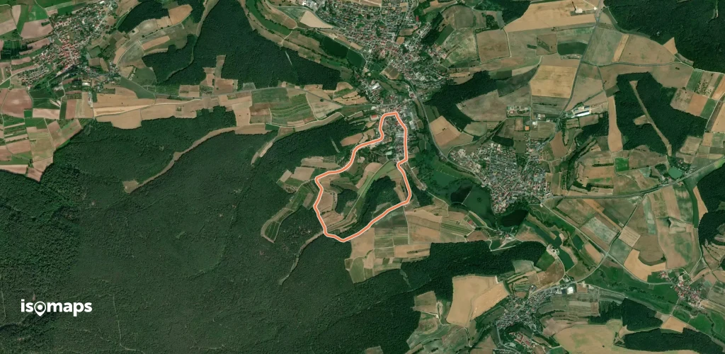 Rundweg Priesendorf P 2 "Christbaumweg"