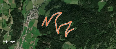 Leichte Variante