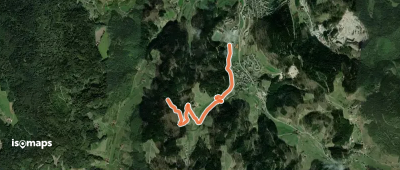 Hasenwald - Kohleck