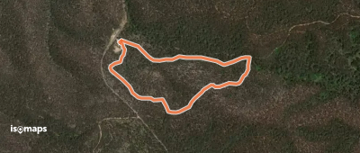 Danny's Loop Walk