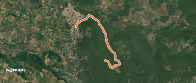 OSM Route 12217374