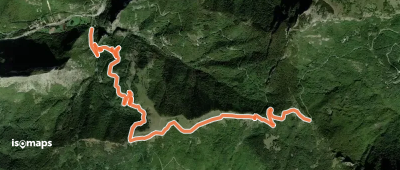 OSM Route 12217807