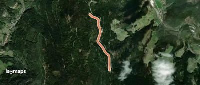 Löcherbergwasen - Parallelweg
