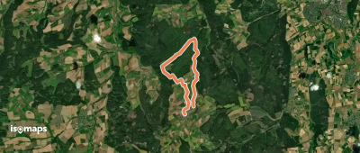 Rundwanderweg Freienhagen 6