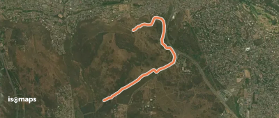 Wildebeest Trail