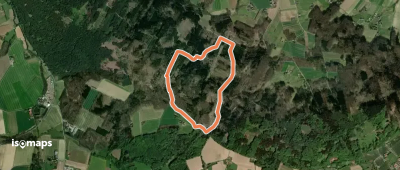 Rundweg Großer Kellenberg (8)