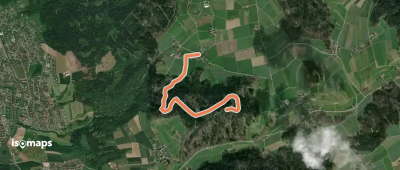 Hulmen - Ober Ricketwil