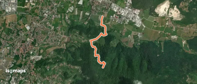 OSM Route 12287442