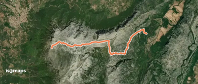 OSM Route 12295999