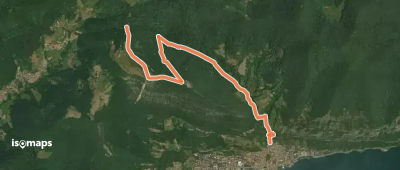 OSM Route 12300781