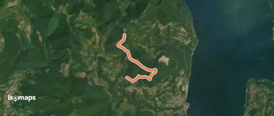 OSM Route 12303862