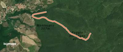 OSM Route 12307106