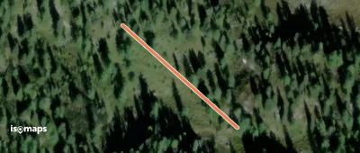 Reiteralm, gelb markierte Pfadspur