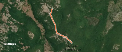 OSM Route 12334275