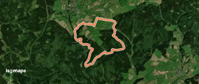 EifelSchleife Wilder Buchenwald