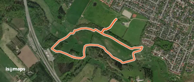 Birkemusruten