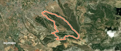 Pinares de la Zubia