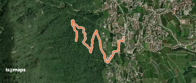 OSM Route 12371425