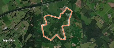 Weldam Geel