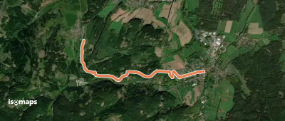 Ameisenweg nach Oehrenstock