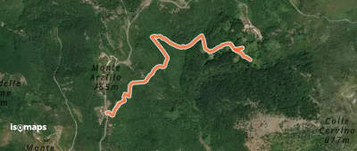 OSM Route 12460268
