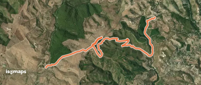 OSM Route 12466966