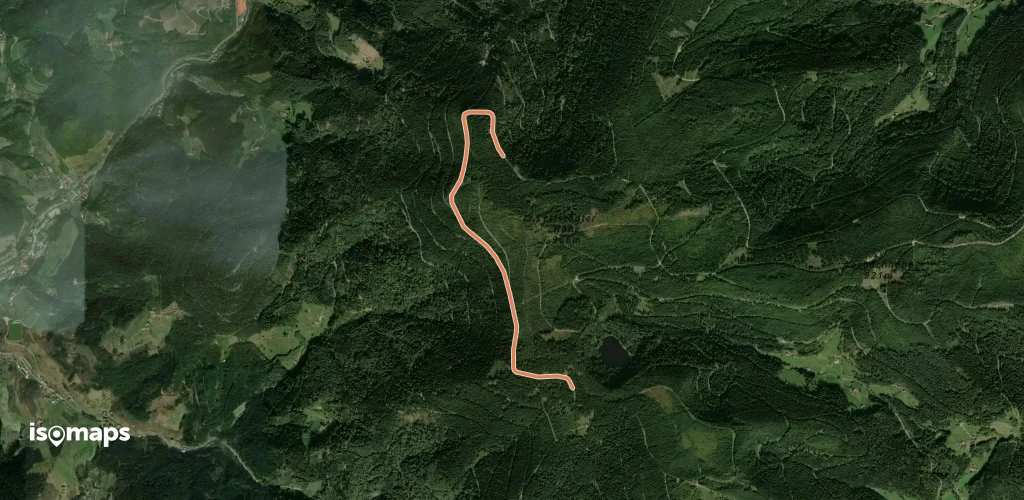 See-Ebene Straße - Wildwies
