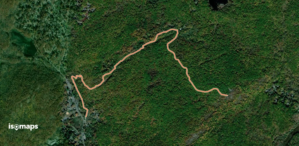 Hibernia Brook Trail