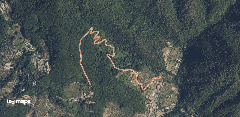 OSM Route 12524259