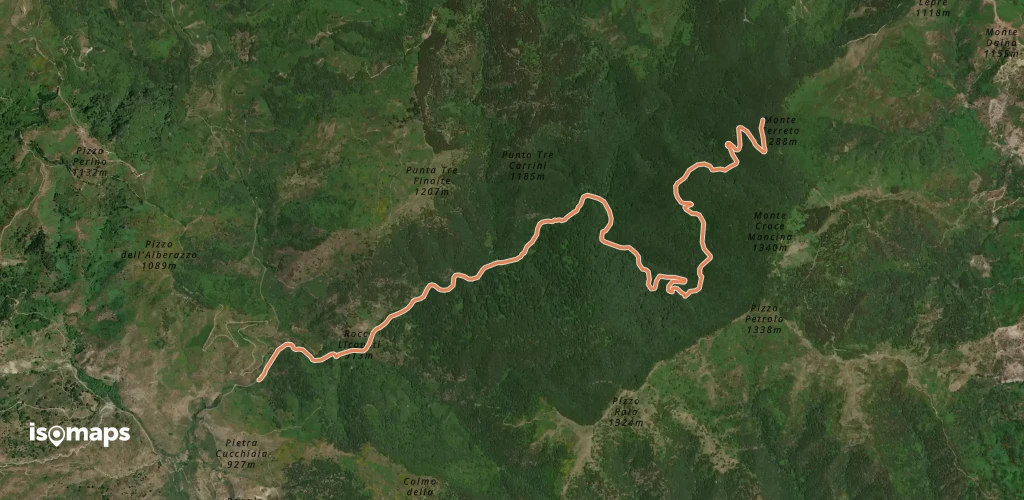 OSM Route 12537693