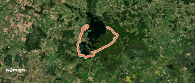 E11 section 83: Paplatelė – Plateliai