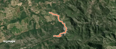 Variante 1.1
