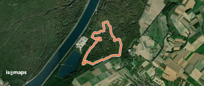 Naturlehrpfad Rheinauewald Wyhl