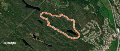 Jursla gammelskog