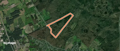 Hiesfelder Wald Rundweg A1