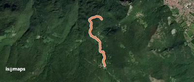 OSM Route 12696622