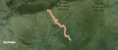 OSM Route 12705518