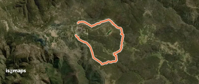 Montane Walking Track