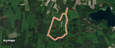 Dachsberg - Die Haard (orange)