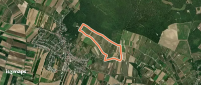 Karpatenblickroute