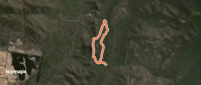 Teddy Bear Gap Loop