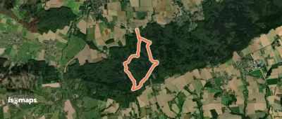 VitalWanderWelt: Aufmerksamkeit