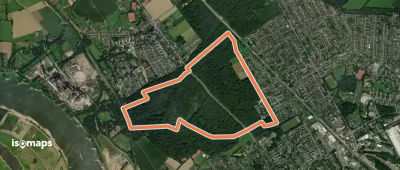 Wohnungswald Rundweg A2