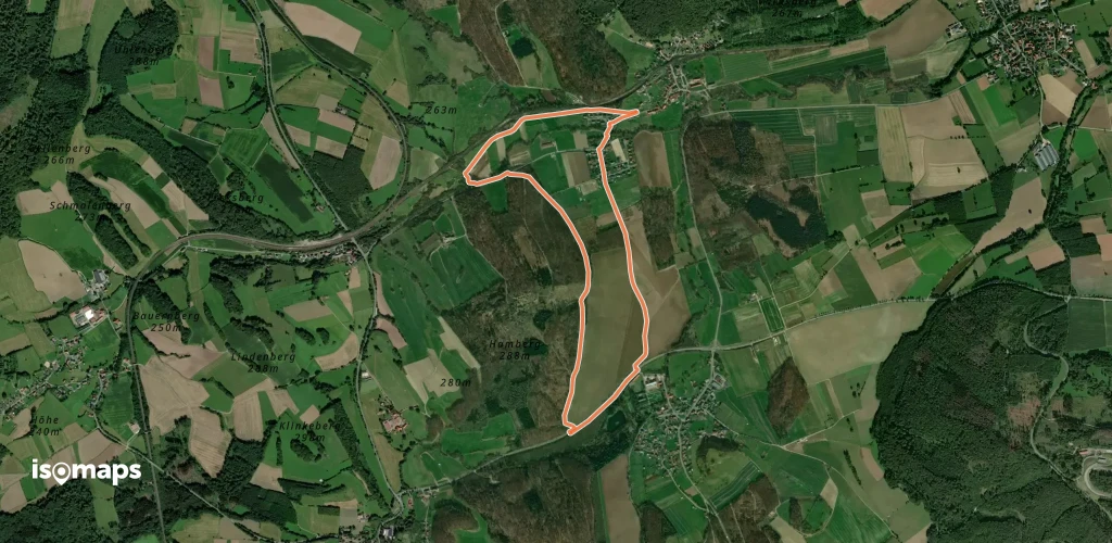 Rundweg im Bruch