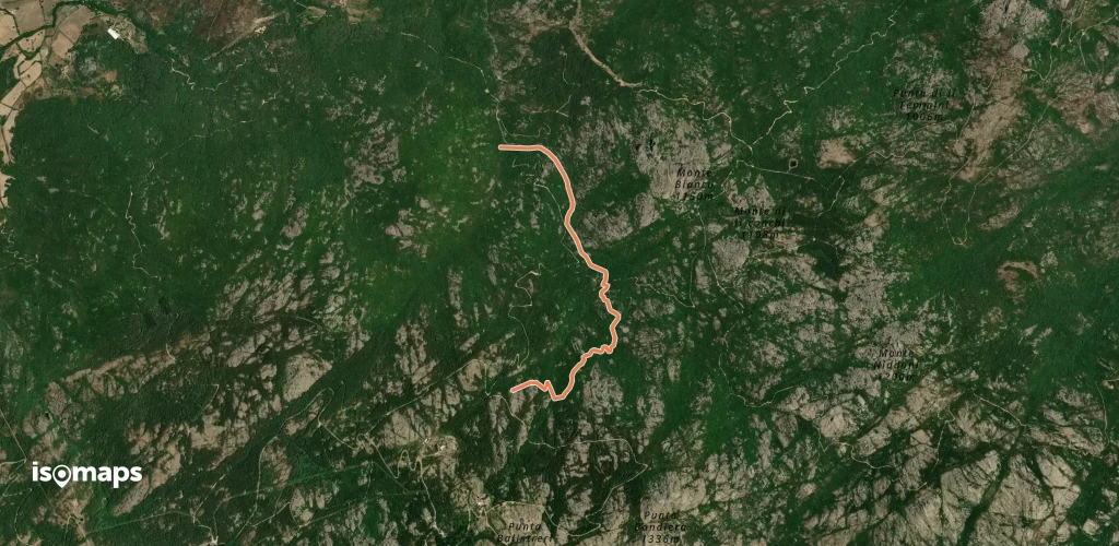 OSM Route 12858060
