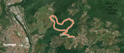 Anello della Torre di Melagrana